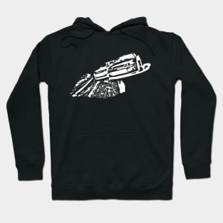 Tandem Anyone? Hoodie